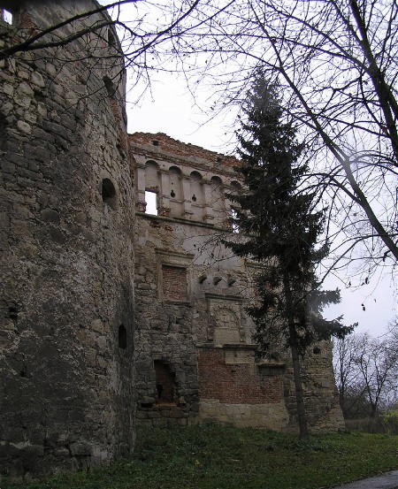 Image -- View of the Berezhany castle.