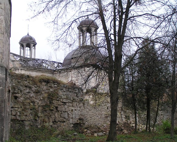 Image -- View of the Berezhany castle.