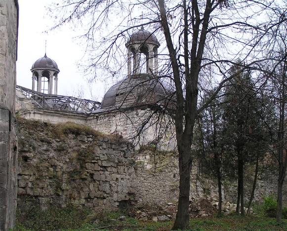 Image - View of the Berezhany castle.