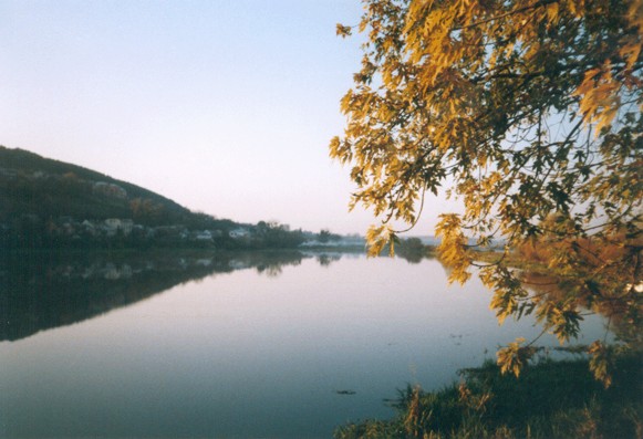Image - The Berezhany lake on the Zolota Lypa River.