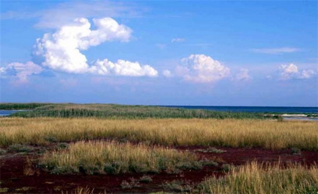 Image -- The Black Sea Biosphere Reserve.