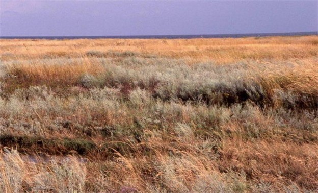 Image -- The Black Sea Biosphere Reserve.