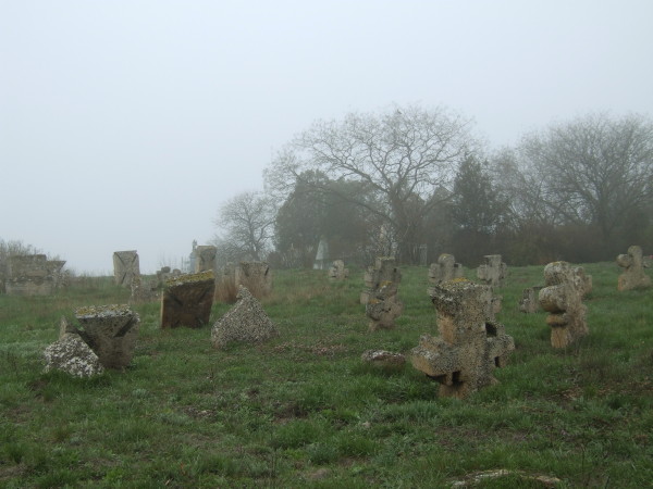 Image -- A Black Sea Cossack cemetary in Hryhorivka, Odesa oblast.