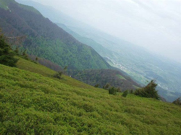 Image - Boiko region landscape.