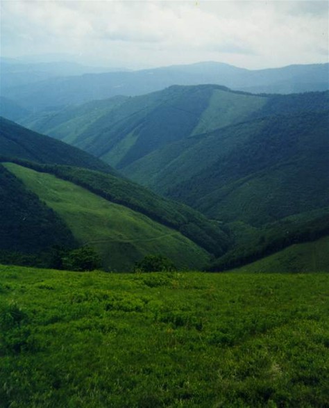 Image - Southern part of the Borzhava mountain group in the Polonynian Beskyd.