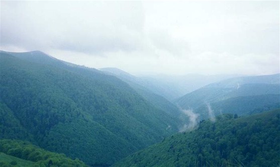 Image -- The Borzhava mountain group in the Polonynian Beskyd.