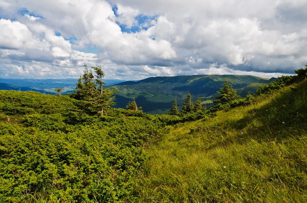 Image - A panorama of the Bratkivska mountain range.