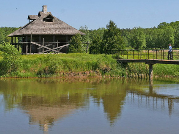 Image -- Brest oblast landscape, Belarus.