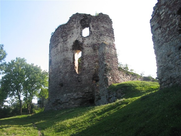 Image - Ruins of the Potocki castle in Buchach.