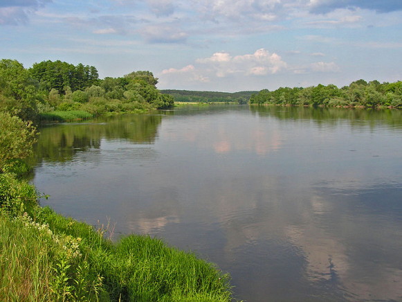 Image - The Buh River near Dorohychyn.