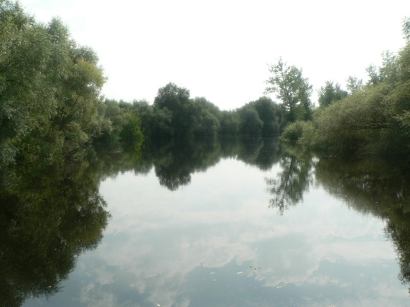 Image - The Buh River near Kryliv.