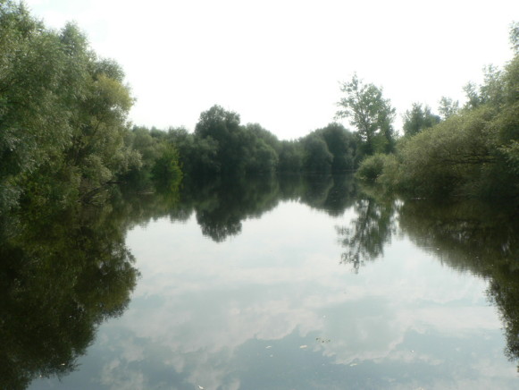 Image -- The Buh River near Kryliv.