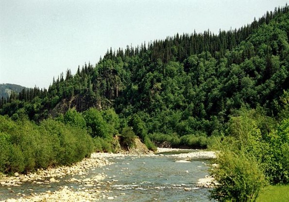 Image - The Bystrytsia Nadvirianska River.