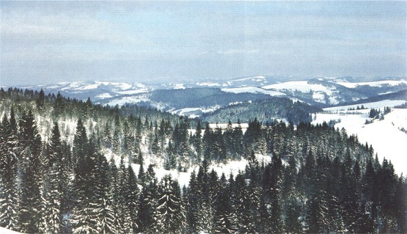Image - Carpathian Mountain landscape on the outskirts of Verkhovyna.