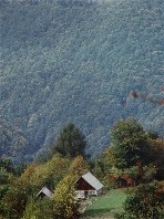 Image from the Internet Encyclopedia of Ukraine