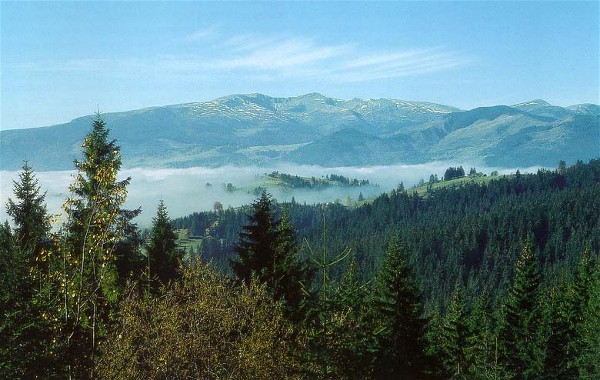Image - Panorama of the Carpathian Mountains in Transcarpathia oblast.