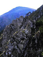 Image from the Internet Encyclopedia of Ukraine