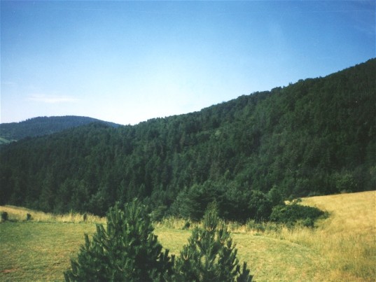 Image - Carpathian foothills in Lviv oblast.