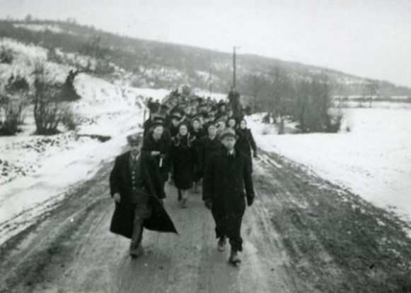 Image - The evacuation of the government of Carpatho-Ukraine following the Hungarian occupation in 1939.