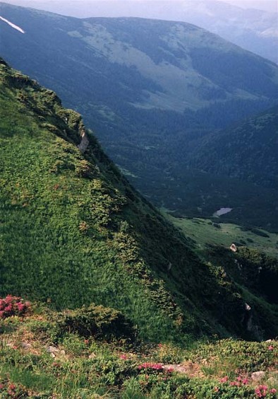 Image - Dzebroni Peak in the Chornohora (Carpathians).