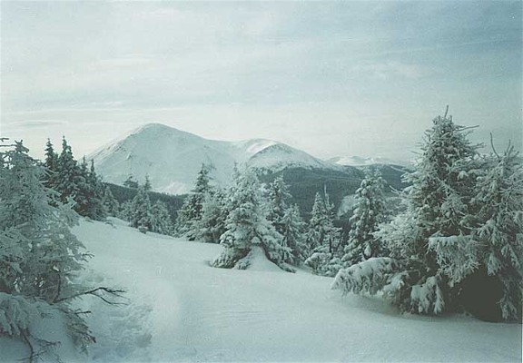 Image - Chornohora: view of Mount Petros in the winter.