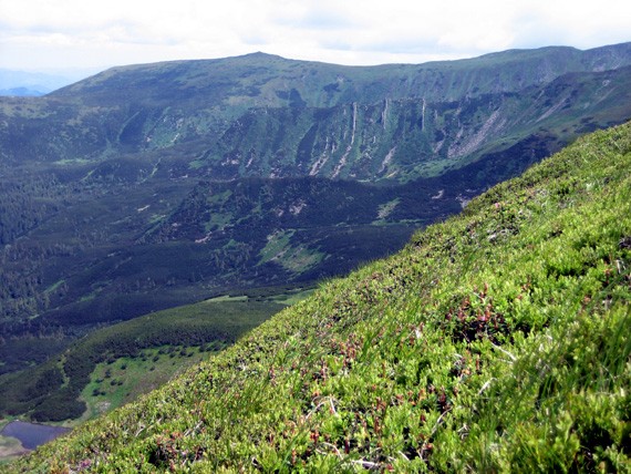 Image -- A Chornohora landscape.