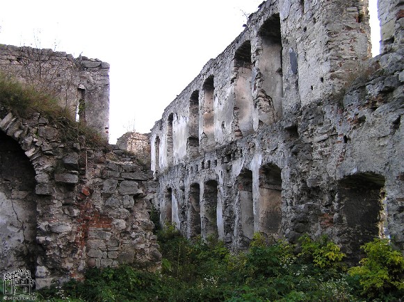 Image -- Ruins of the Chortkiv castle (16th-17th century).