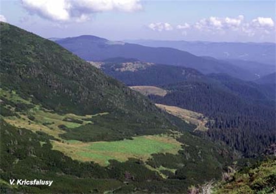 Image - Chyvchyn Mountains: the upper reaches of the Bilyi Cheremosh River.
