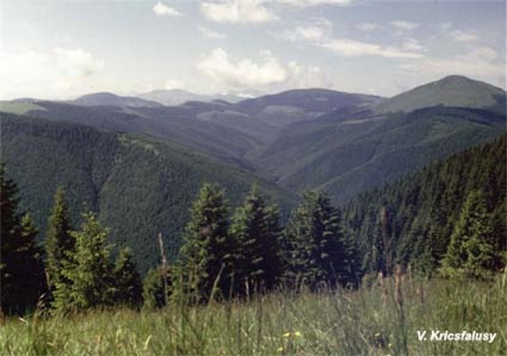 Image -- Chyvchyn Mountains: the upper reaches of the Chornyi Cheremosh River.