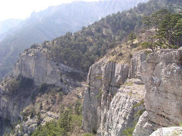 Image - The Crimean Mountains landscape near Yalta.