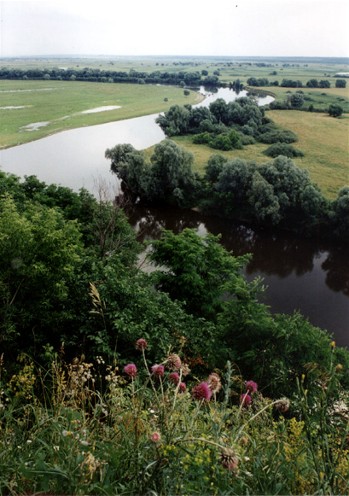 Image - The Desna River flowing through Chernihiv oblast.