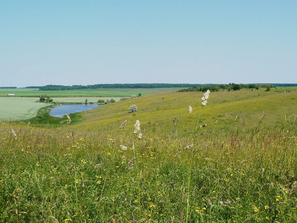 Image -- Dnipro Upland landscape (Kyiv oblast)