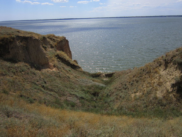 Image -- The Dnister Estuary (shore).