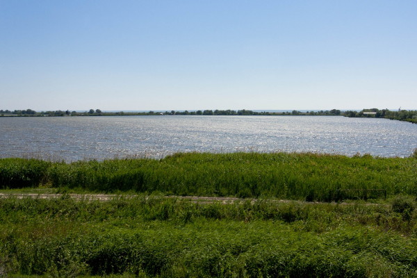 Image -- The Dnister River floodplains.