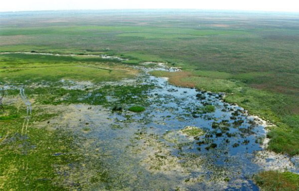 Image -- The Dnister River floodplains.