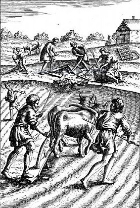 Image - Engraving: Peasants plowing with oxen.