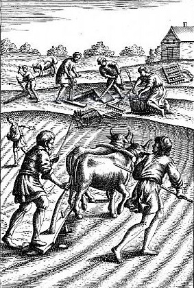 Image -- Engraving: Peasants plowing with oxen.