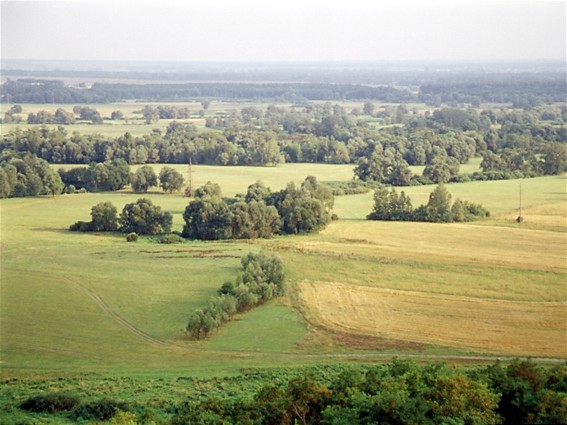 Image - A forest-steppe landscape in Poltava oblast.