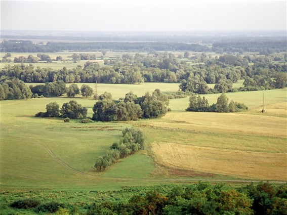 Image -- A forest-steppe landscape in Poltava oblast.