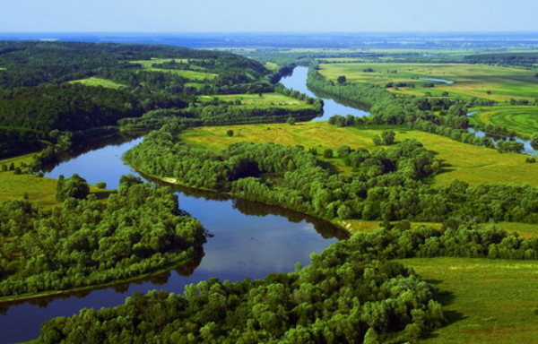 Image -- A forest-steppe landscape in Polisia.