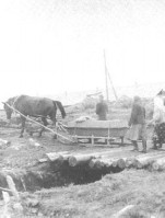 Image from the Internet Encyclopedia of Ukraine