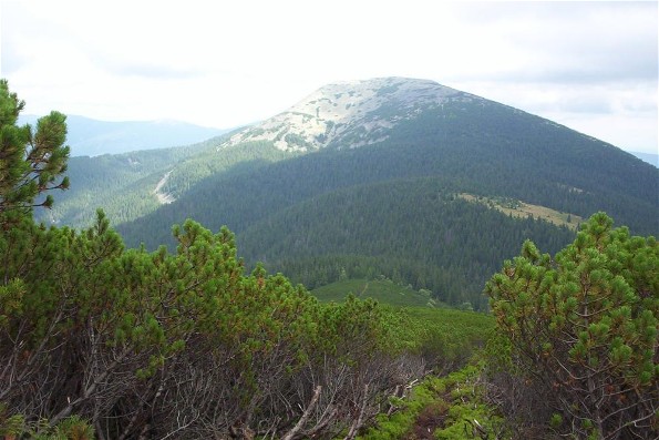 Image - Gorgany Mountains: Mount Grofa (1,748 m).