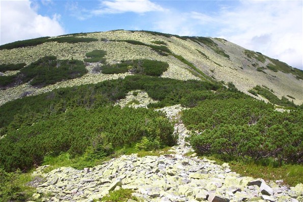 Image - Gorgany Mountains: Mount Popadia (1,742 m).