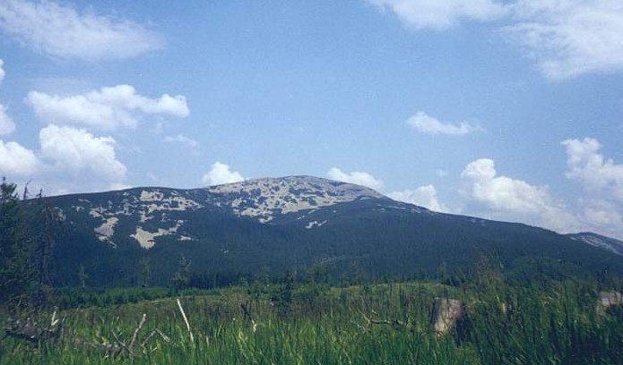 Image -- Gorgany Mountains: view of Mount Popadia.