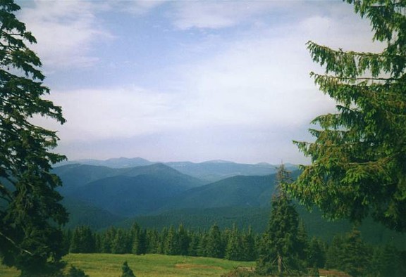 Image -- Gorgany Mountains landscape (Carpathians).