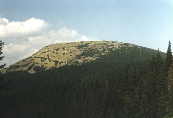 Image -- Mount Grofa in the Gorgany Mountains.