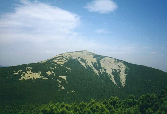 Image -- Mount Popadia in the Gorgany Mountains.