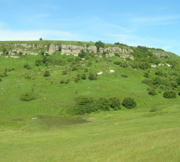 Image - Halych National Nature Park (landscape).