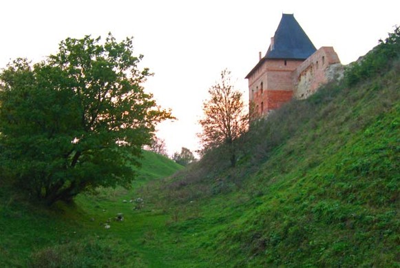 Image -- The Halych castle.