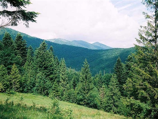 Image - High Beskyd landscape near Mount Parashka.